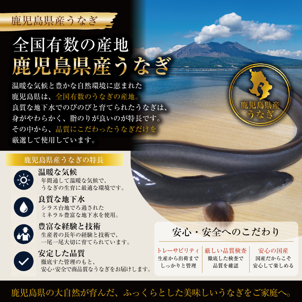 鹿児島県産 うなぎの蒲焼 4尾